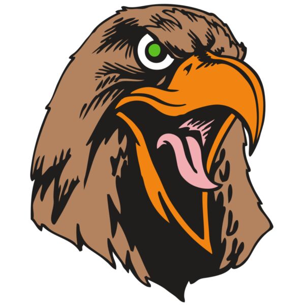 BAW HWK FLCN 01 RC Thumbnail